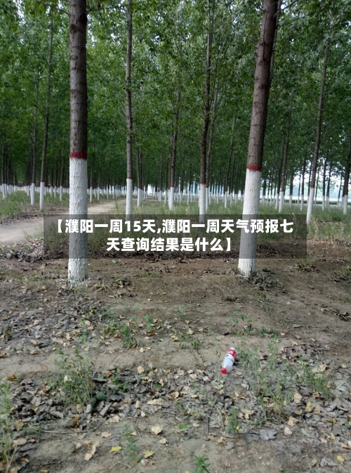 【濮阳一周15天,濮阳一周天气预报七天查询结果是什么】