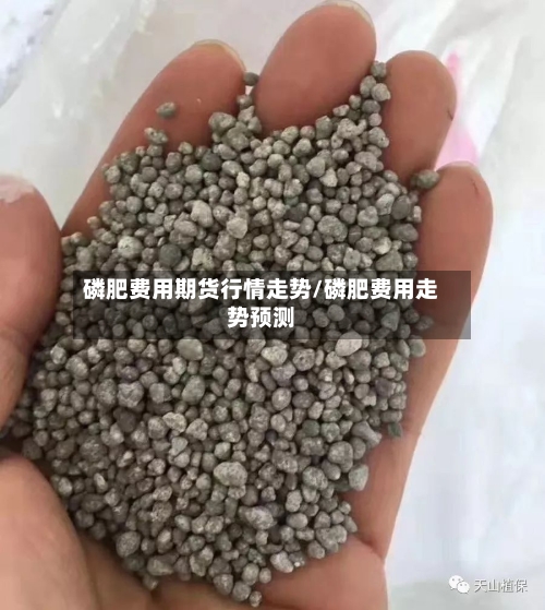 磷肥费用期货行情走势/磷肥费用走势预测