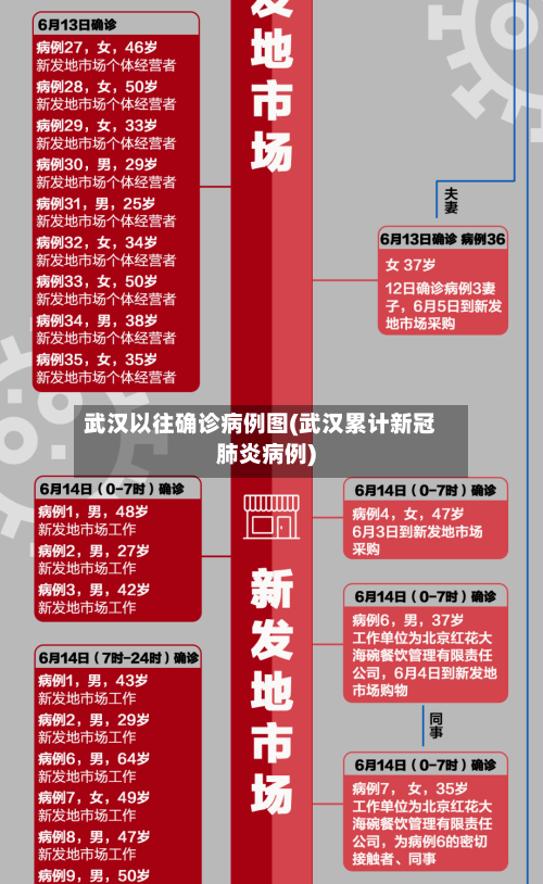 武汉以往确诊病例图(武汉累计新冠肺炎病例)