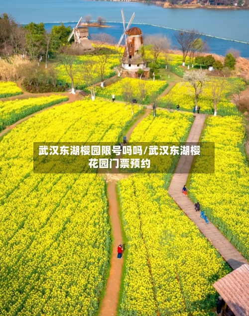 武汉东湖樱园限号吗吗/武汉东湖樱花园门票预约