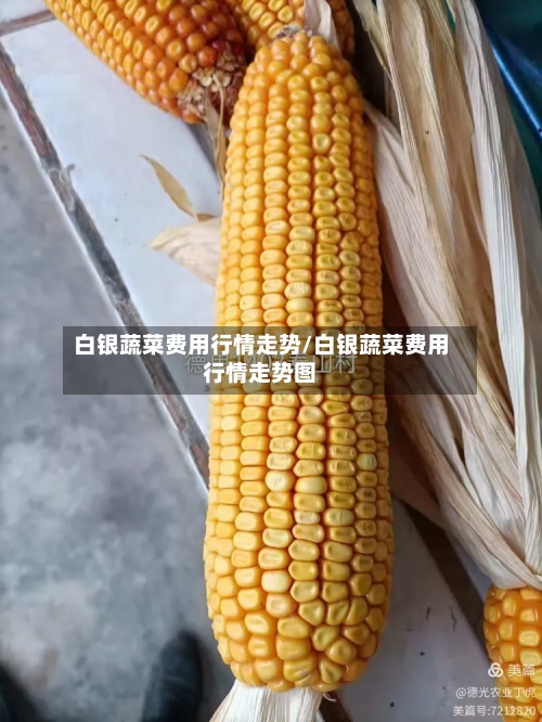 白银蔬菜费用行情走势/白银蔬菜费用行情走势图