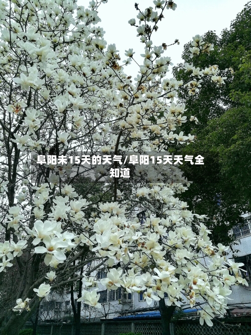 阜阳未15天的天气/阜阳15天天气全知道