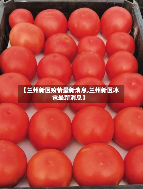 【兰州新区疫情最新消息,兰州新区冰雹最新消息】