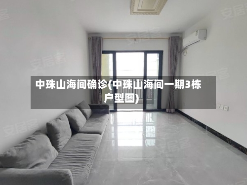 中珠山海间确诊(中珠山海间一期3栋户型图)