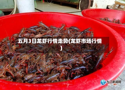 五月3日龙虾行情走势(龙虾市场行情)