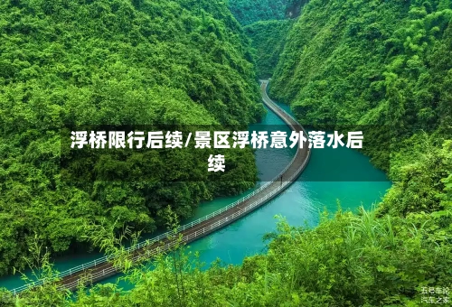 浮桥限行后续/景区浮桥意外落水后续