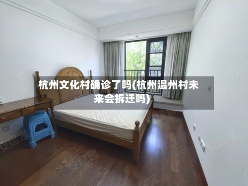 杭州文化村确诊了吗(杭州温州村未来会拆迁吗)