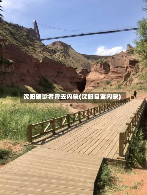 沈阳确诊者曾去内蒙(沈阳自驾内蒙)