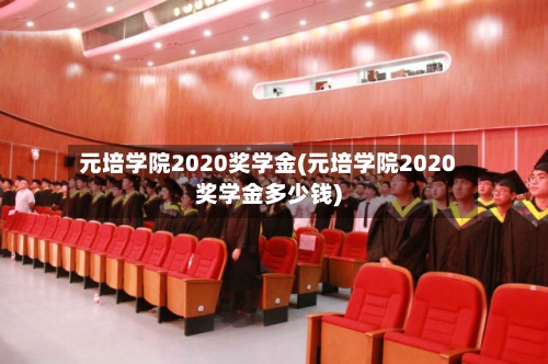 元培学院2020奖学金(元培学院2020奖学金多少钱)