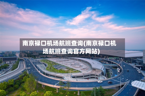 南京禄口机场航班查询(南京禄口机场航班查询官方网站)